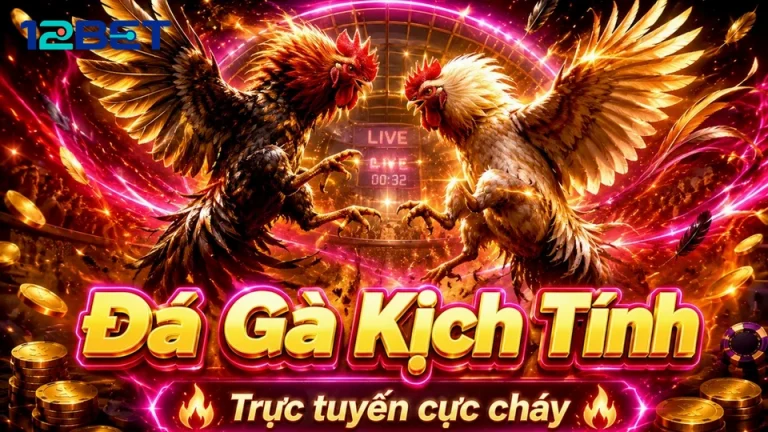 Đá Gà Trực Tuyến 12BET: Đọc Chi Tiết Giao Diện Quản Lý Phiên Chơi Qua Trải Nghiệm Di Động – Góc Kiểm Chứng Theo Tên Miền 12betvn.buzz